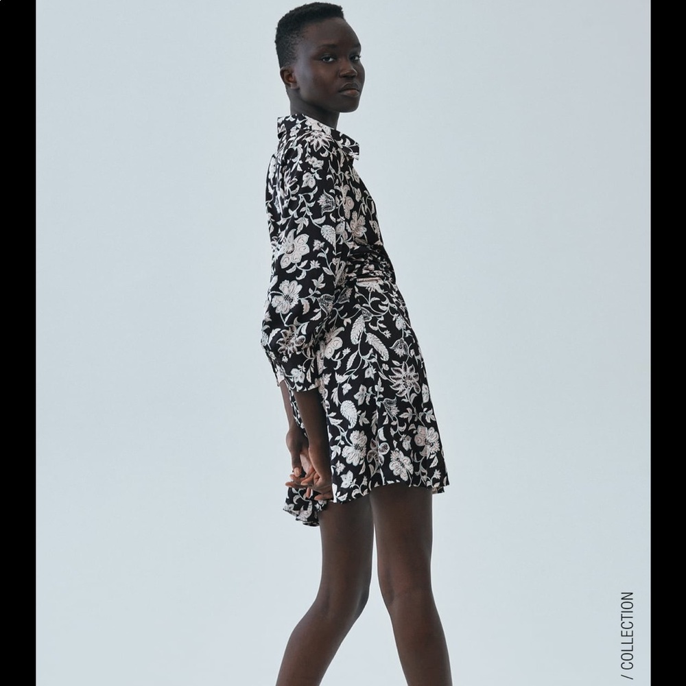 NWT Zara Printed Shirt Dress